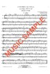 Telemann Concerto for Viola arranged for Duet - Choose Your Instrumentation! - Digital Download