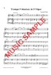 Violin - Solo Instrument & Keyboard - Choose a Title! Printed Sheet Music